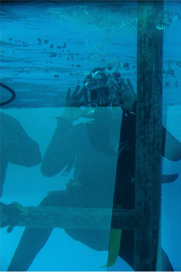 boy scuba diving in great barrier reef blue water