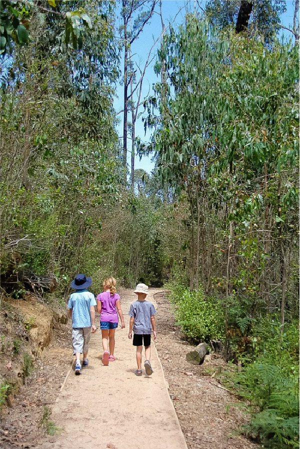 kids walking on a trail in kinglake national park australia