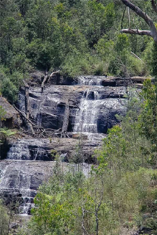 waterfall at kinglake national park in victoria australia