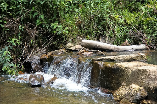 a small waterfall in kinglake national park