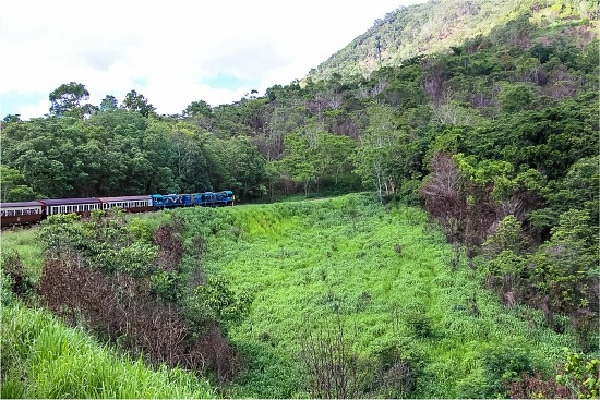 train moving through the trees to kuranda village