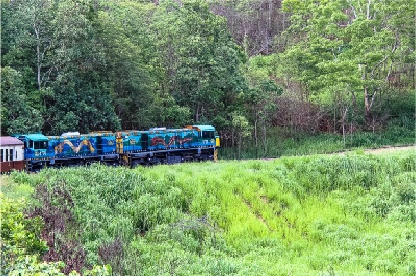 painted train engine going through the forest in Queensland