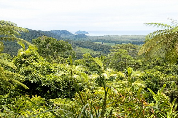 The view from Mt. Alexander at Cape Tribulation