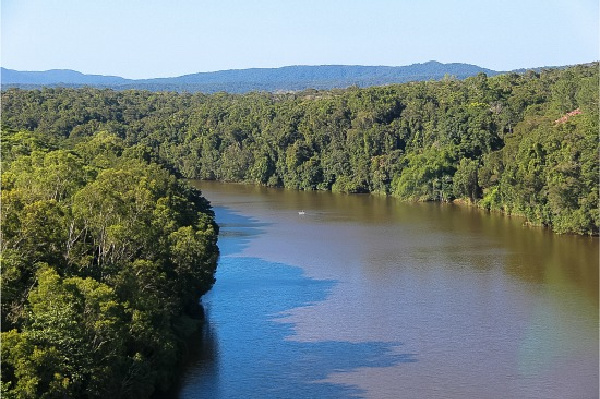 view over a river and forest from the kuranda skyrail