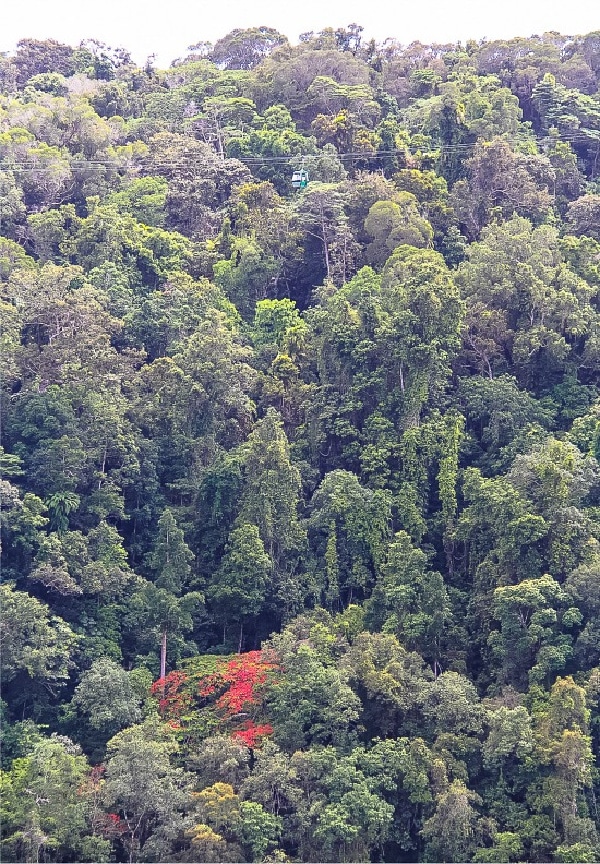 view of the kuranda skyrail from the train in queensland