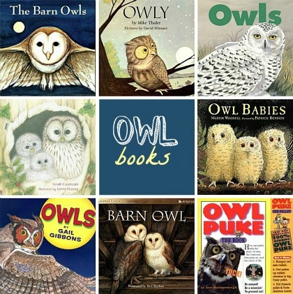 owl books for kids