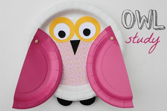 owl paper plate craft for kids