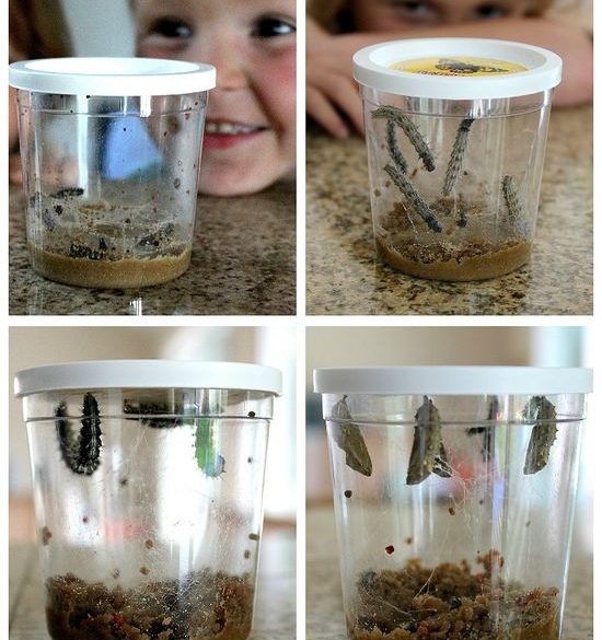STEAM Projects and Science Experiments for Kids | Tonya Staab