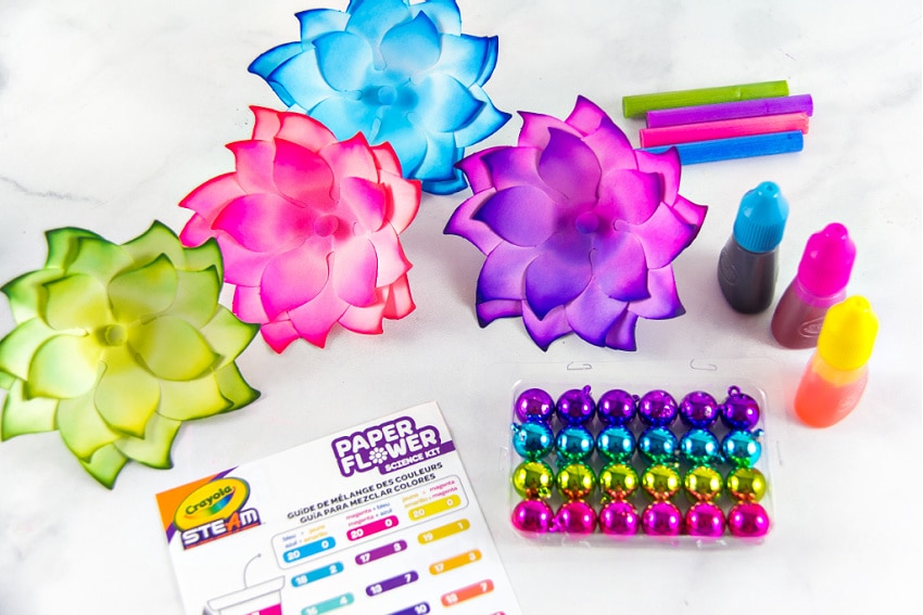 Instructions for using the Crayola paper flower science kit for kids.