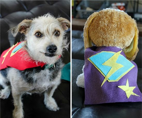 A small dog and a dog toy wearing handmade fleece super hero capes