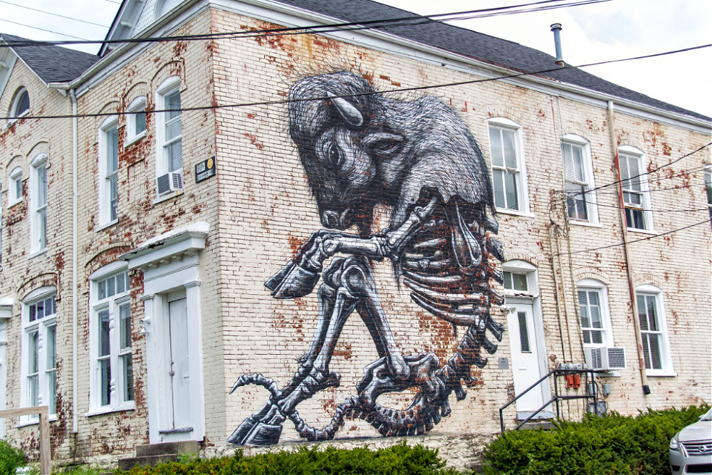 The Buffalo mural by ROA on North Limestone in Lexington