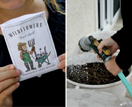 A girl planting seeds to grow flowers.