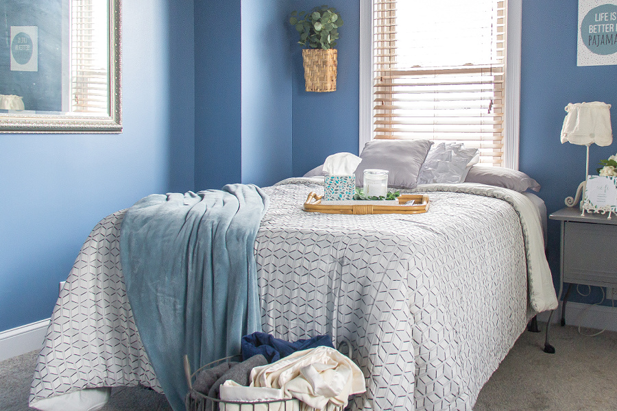 A blue, white, and grey guest bedroom with greenery.