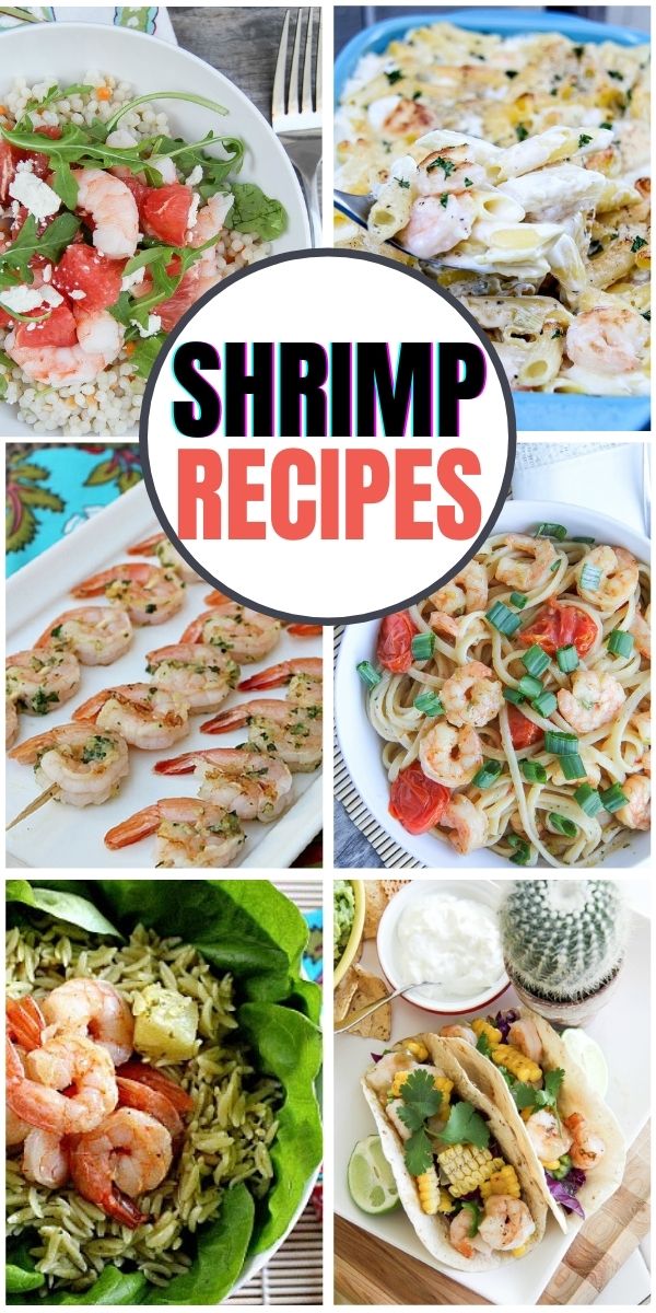 shrimp recipes Pinterest image