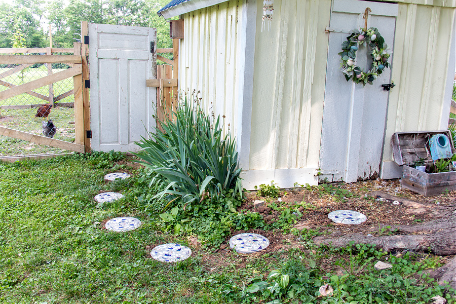 A concrete stepping stone garden path leading from a chicken coop door, to pen door.