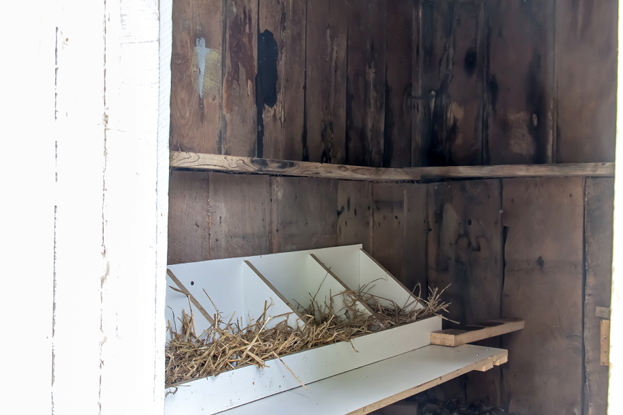 handmade nesting boxes for a chicken coop.