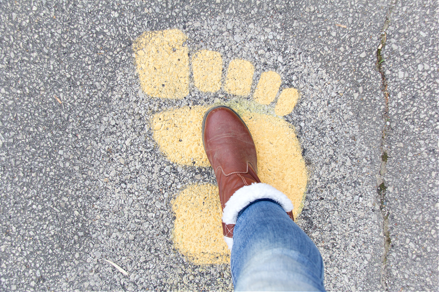 Forest giant footprints at Bernheim Arboretum.