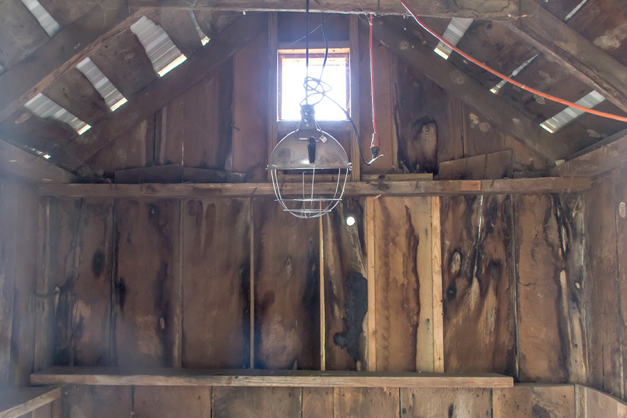 Inside a chicken coop