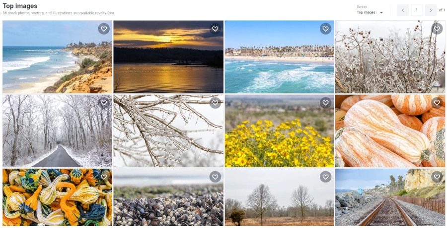 A screenshot of a Shutterstock portfolio with images available for download.