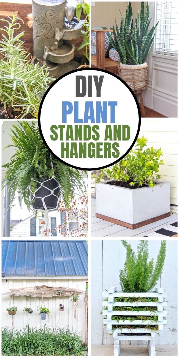 DIY plant stands and hangers Pinterest image