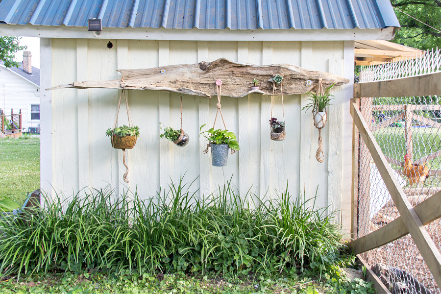 DIY hanging plant holder with planter hooks