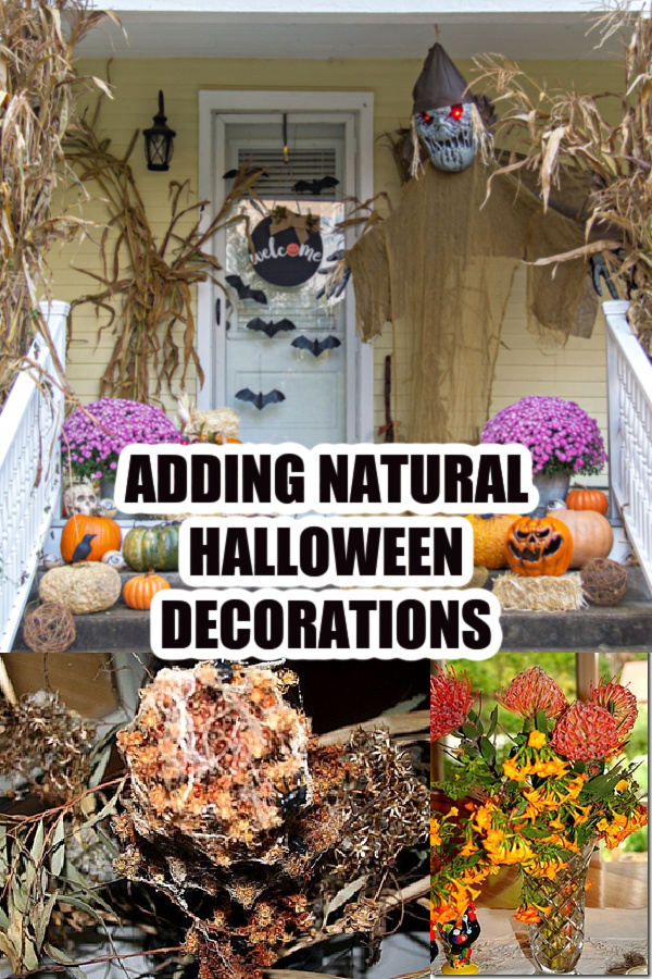 natural halloween decorations Pinterest image