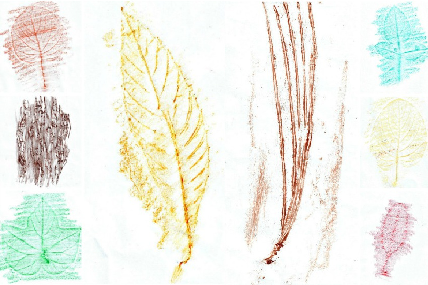 bark, pine needle, and leaf rubbing ideas for kids