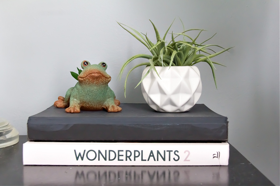 The Wonderplants 2 book with succulent planters on top.