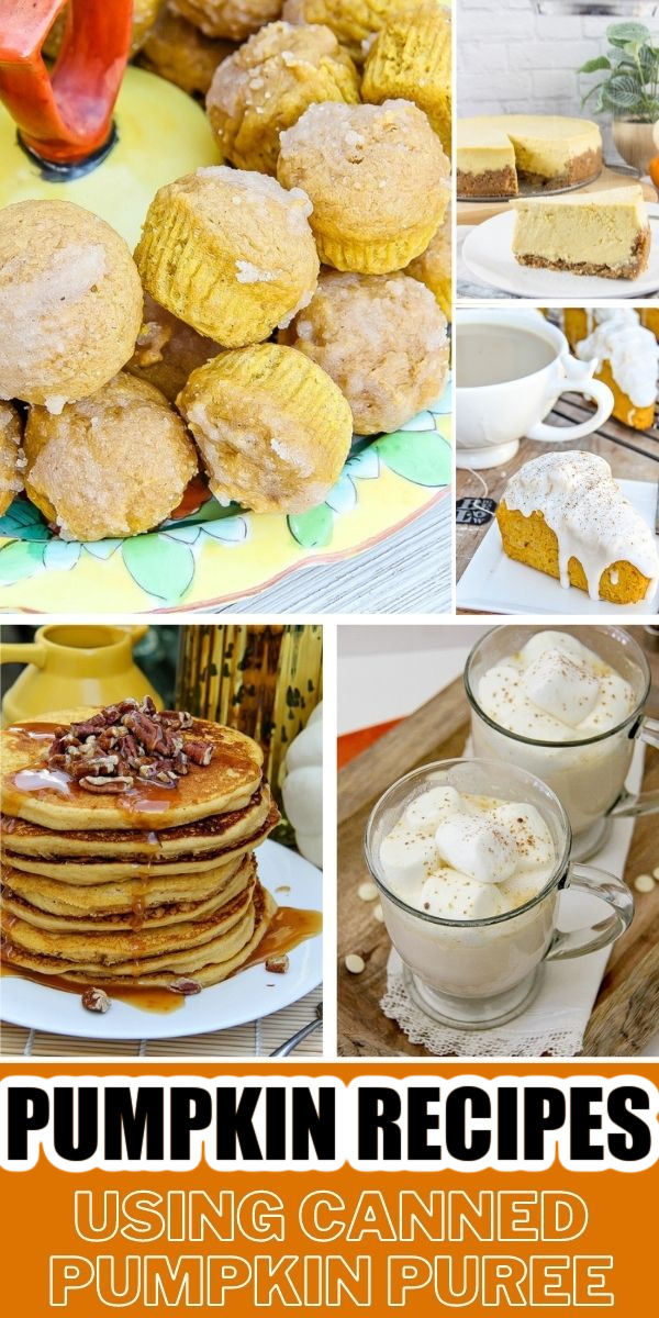 recipes using pumpkin puree Pinterest image