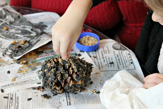 pine cones covered in peanut butter and birdseed to make bird feeders