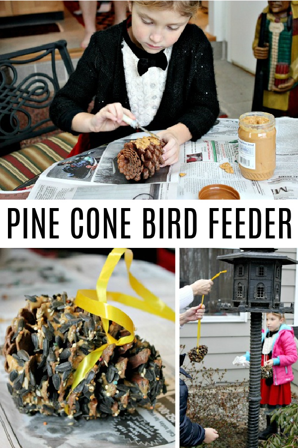 pine cone bird feeder Pinterest image