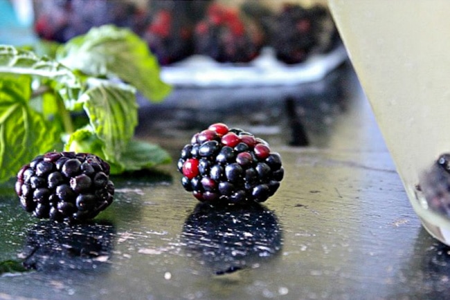 Fresh blackberries and mint for an iced tea cocktail