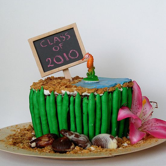 A delicious cake covered in greed seawood icing, topped with crushed graham crackers and a tiny seahorse.