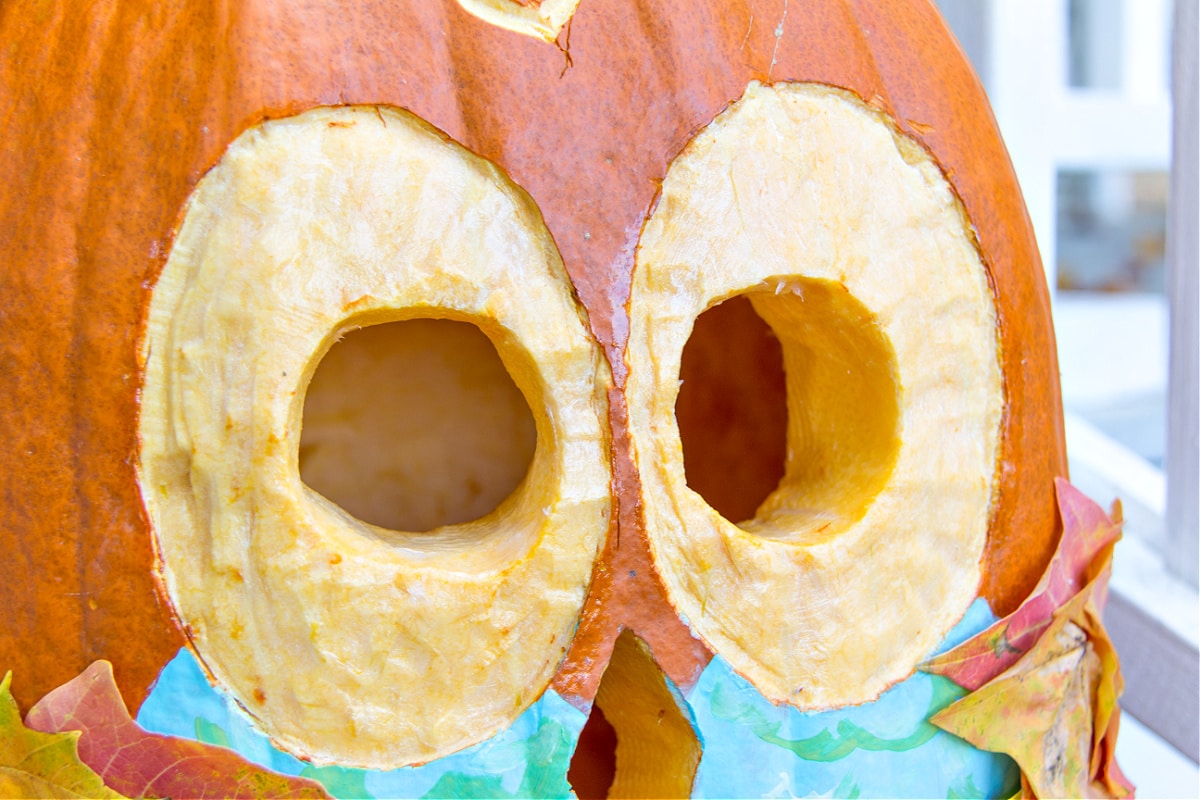 owl eyes that have been carved into a pumpkin