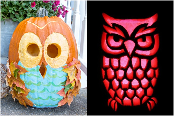 two different owl pumpkin carving ideas for fall and halloween