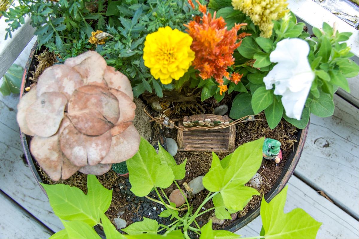a fairy garden in a pot with a handmade house, plants, a gnome, and other fairy garden accessories.
