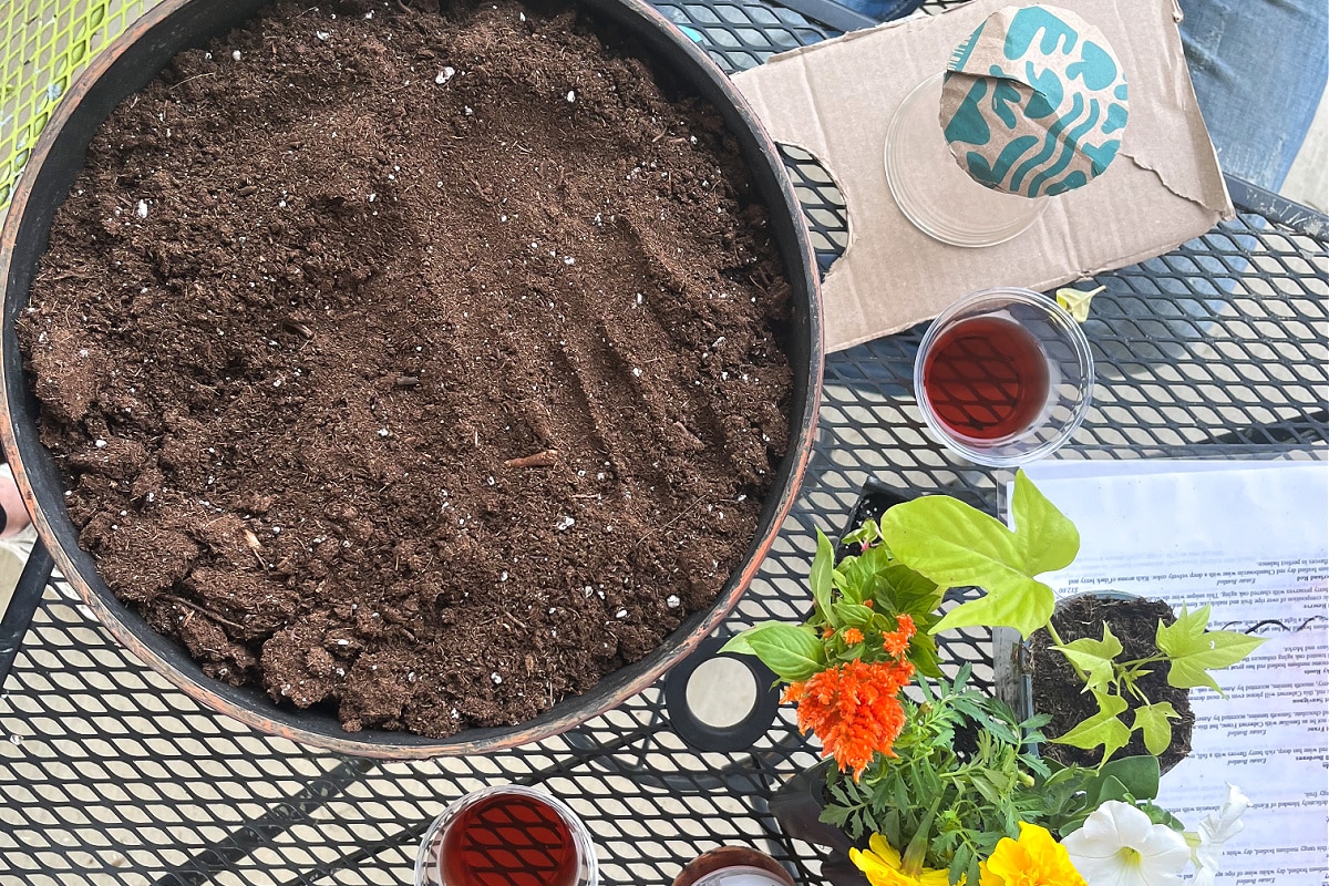 a pot filled with soil to make a fairy garden in a pot
