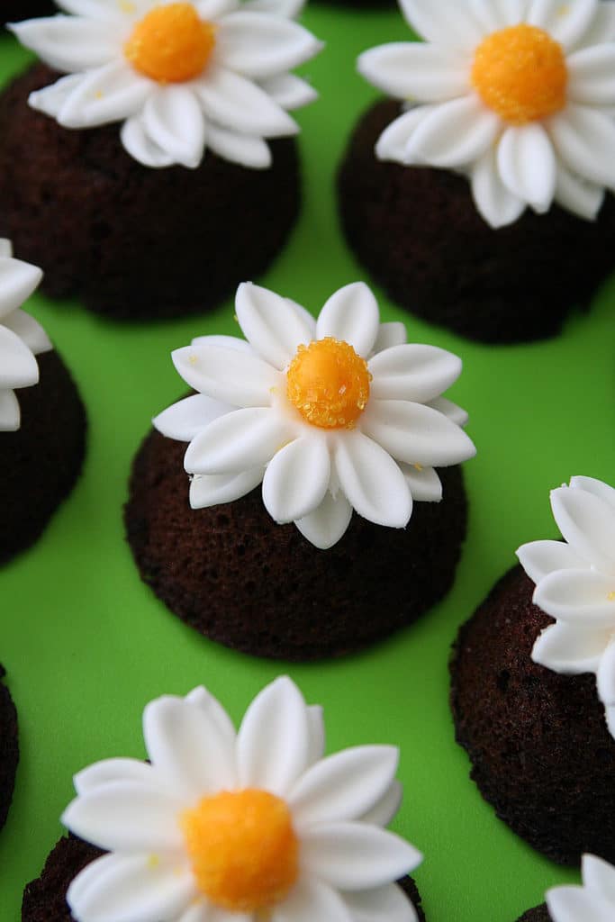Decadent mini chocolate cupcakes decorated with fondant daisies.