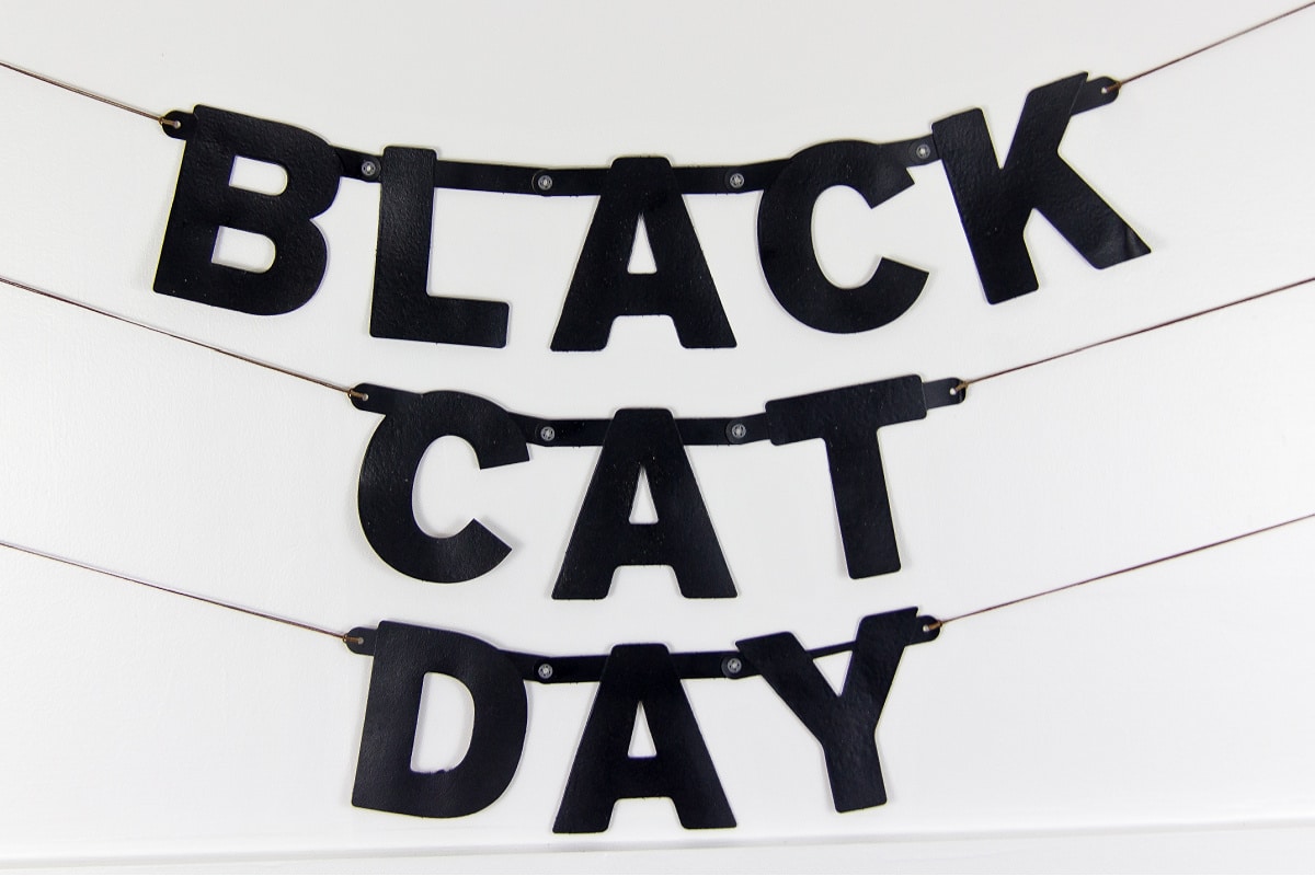 a black party banner for a black cat day party